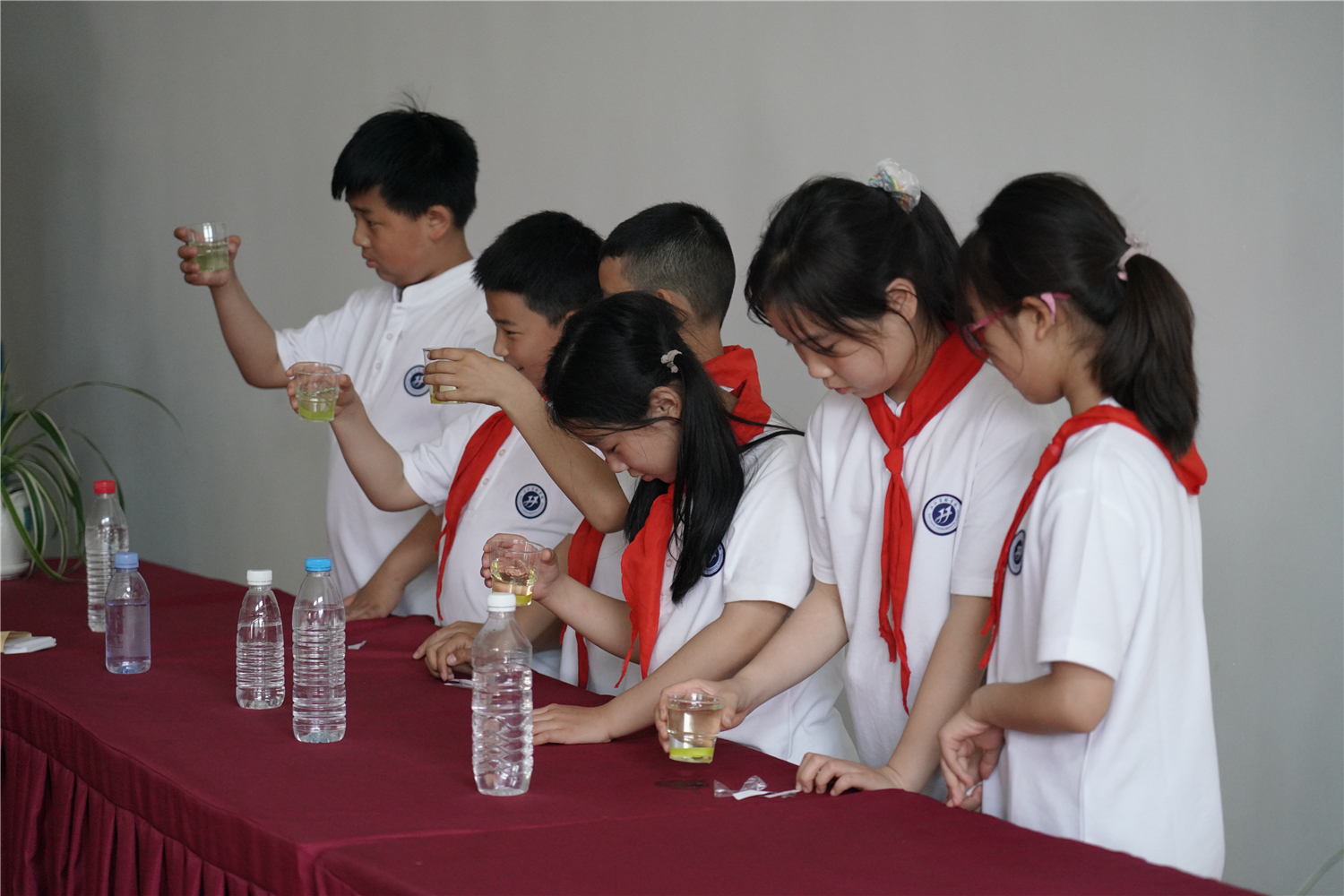 1620727878656880.jpg 16.jpg